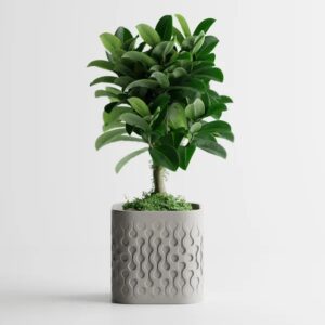 Design-Blumentopf Flowform